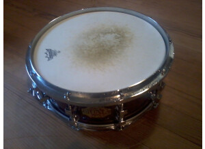 Premier Signia (27214)