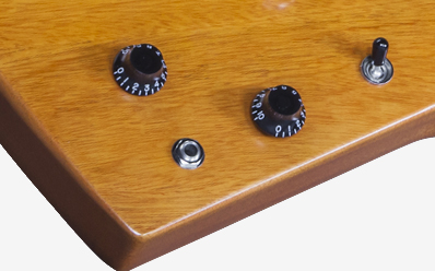 Gibson Explorer Faded 2016 Limited : DSXF16VACH1 ELECTRONICS PANEL 02