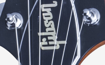 Gibson Flying-V Faded 2016 Limited : DSVF16VACH1 PLASTICS PANEL 02