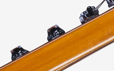 Gibson Flying-V Faded 2016 Limited : DSVF16VACH1 PLASTICS PANEL 01