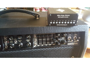 Mesa Boogie Mark V Combo (61766)