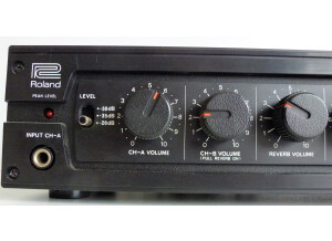 Roland RV 100 (82497)