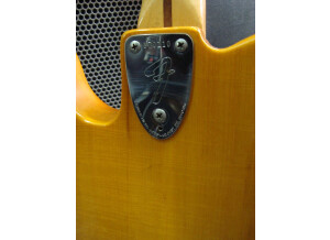 Fender Classic '72 Telecaster Thinline (81362)