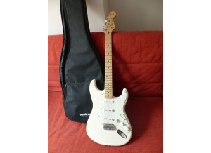 Fender Standard Stratocaster [2009-Current] (31227)