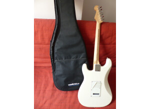 Fender Standard Stratocaster [2009-Current] (97079)