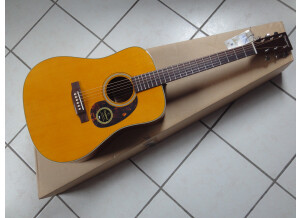 Tanglewood TW40 D AN E (38878)