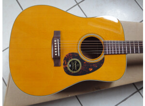 Tanglewood TW40 D AN E (50208)