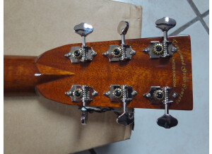 Tanglewood TW40 D AN E (45216)