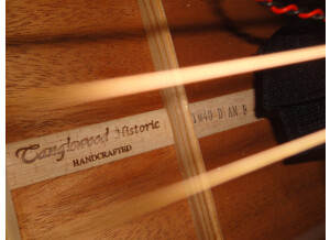 Tanglewood TW40 D AN E (31464)