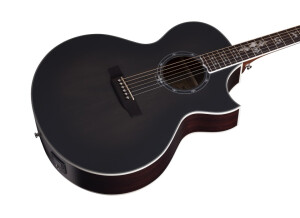 Schecter Synyster Gates 'SYN GA SC' Acoustic