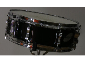 ludwig detail JPG