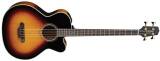 Takamine TB250SC