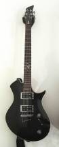 Wolf Guitars WE2