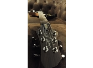 Wolf Guitars WE2 (16707)