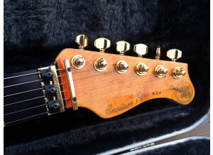 Valley Arts Guitars Custom Pro (29776)