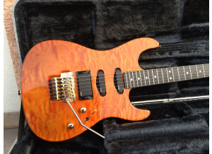 Valley Arts Guitars Custom Pro (78214)