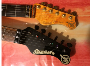 Valley Arts Guitars Custom Pro (63672)