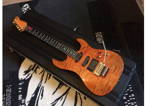Valley Arts Guitars Custom Pro (78146)