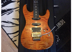 Valley Arts Guitars Custom Pro (44638)