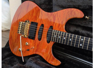 Valley Arts Guitars Custom Pro (13697)