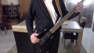 Steinberger Spirit XT-2