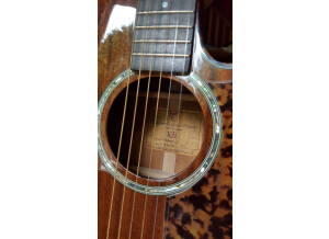 Tanglewood TW47 E (31677)