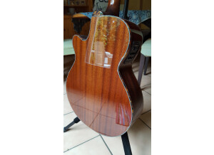 Tanglewood TW47 E (57794)