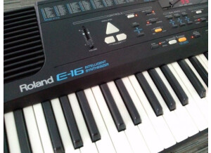 Roland E 16 #1