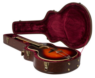 Epiphone Masterbilt Zenith : P MbiltZenCase VS2 Epiphone Masterbilt Zenith : P MbiltZenCase VS2
