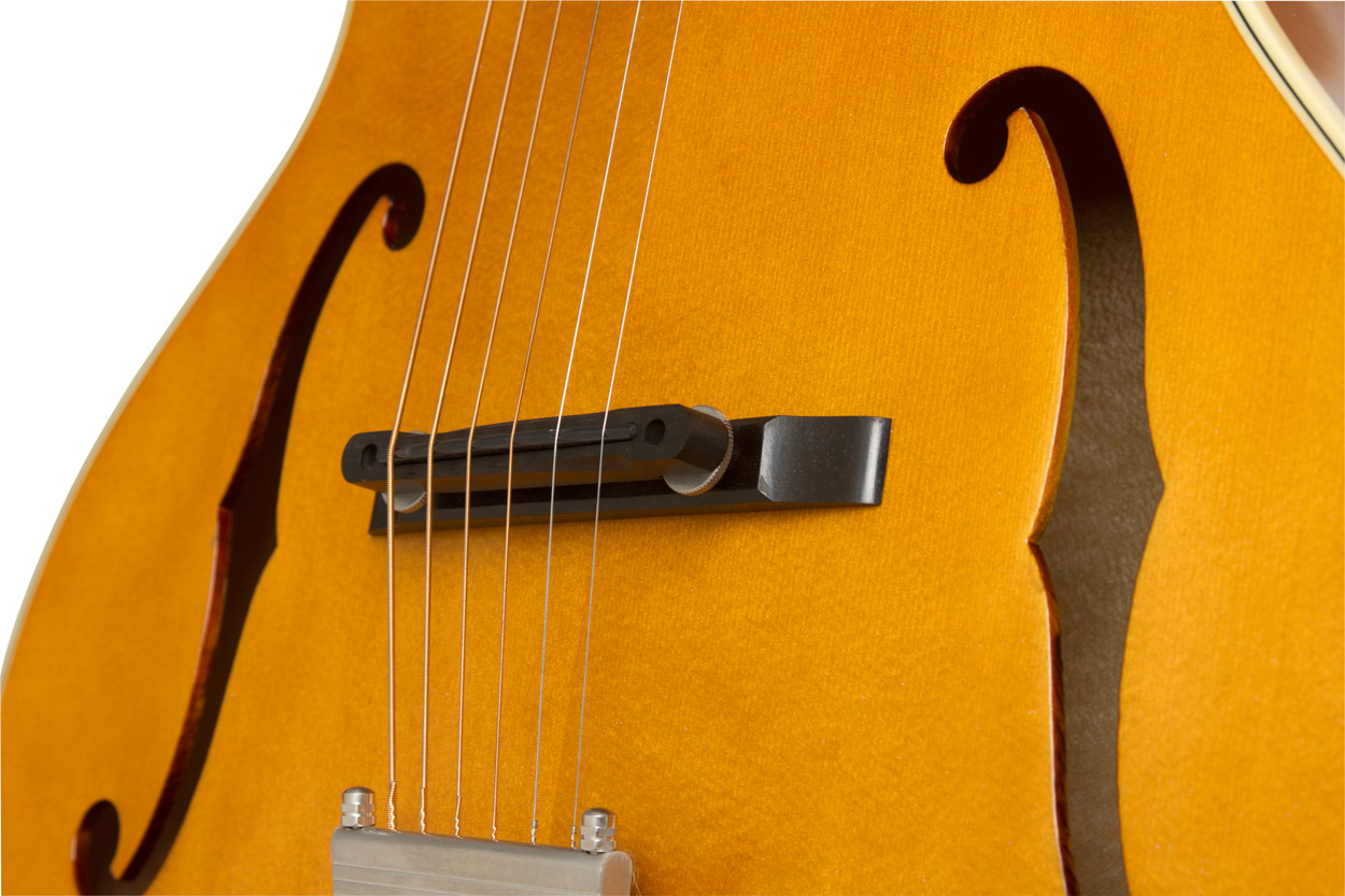 Epiphone Masterbilt Zenith Classic : P CentZenithCls VN3