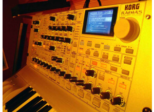 Korg Radias (97022)