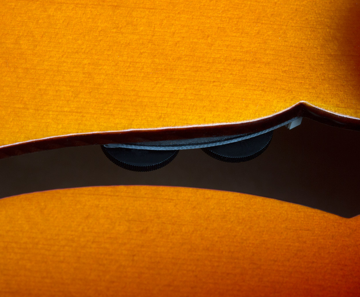 Epiphone Masterbilt Zenith Classic : P CentZenithCls VS8