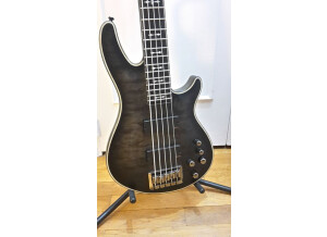 Schecter Hellraiser Extreme 5 (30647)