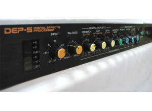 Roland DEP-5 (88068)
