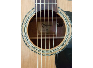 Takamine P1DC (10750)