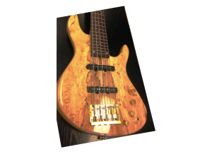 Fodera Guitars NYC Empire (90668)