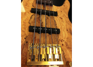 Fodera Guitars NYC Empire (28604)