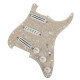 Dave Murray Loaded Pickguard Dave Murray Loaded Pickguard