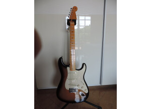 Fender Eric Johnson Stratocaster Maple (38690)