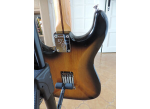Fender Eric Johnson Stratocaster Maple (3706)