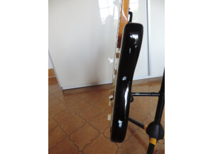 Fender Eric Johnson Stratocaster Maple (59051)