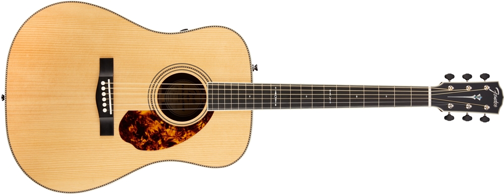 Fender PM-1 Limited Adirondack Dreadnought Rosewood : PM 1 Limited Adirondack Dreadnought, Rosewood
