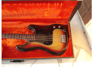 Fender Precision Bass (1978) (1881)