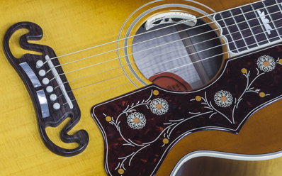 Gibson SJ-200 Special HCS : SJ20HCG17 PLASTICS PANEL 01