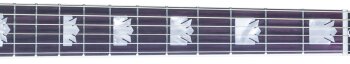 Gibson SJ-200 Special HCS : SJ20HCG17 NECK SIDE Gibson SJ-200 Special HCS : SJ20HCG17 NECK SIDE