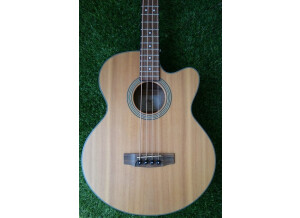 Cort SJB5F (9664)