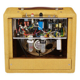 Fender '57 Custom Champ : zoom (3) Fender '57 Custom Champ : zoom (3)