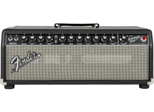 Fender Bassman 800 (95700)