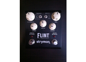 Strymon Flint (14680)