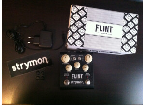 Strymon Flint (21306)